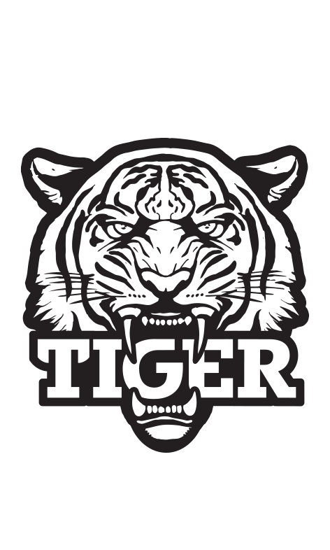 Classic energy drink